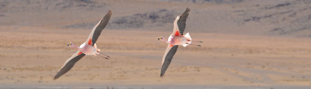 Un arc en ciel en Chemin
