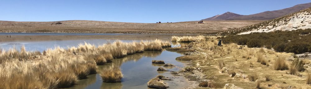 Un arc en ciel en Chemin