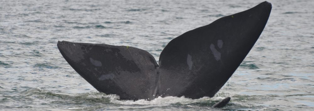 Un arc en ciel en Chemin