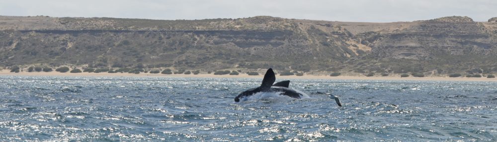 Un arc en ciel en Chemin