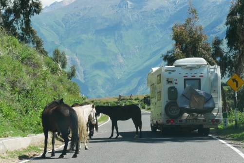 5b394bef-150c-4bb0-80ec-3a5dc70df87d