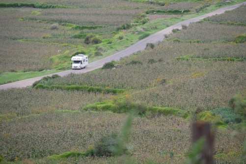 9a11cde0-1b99-42d9-8c3e-1ba4216764f3